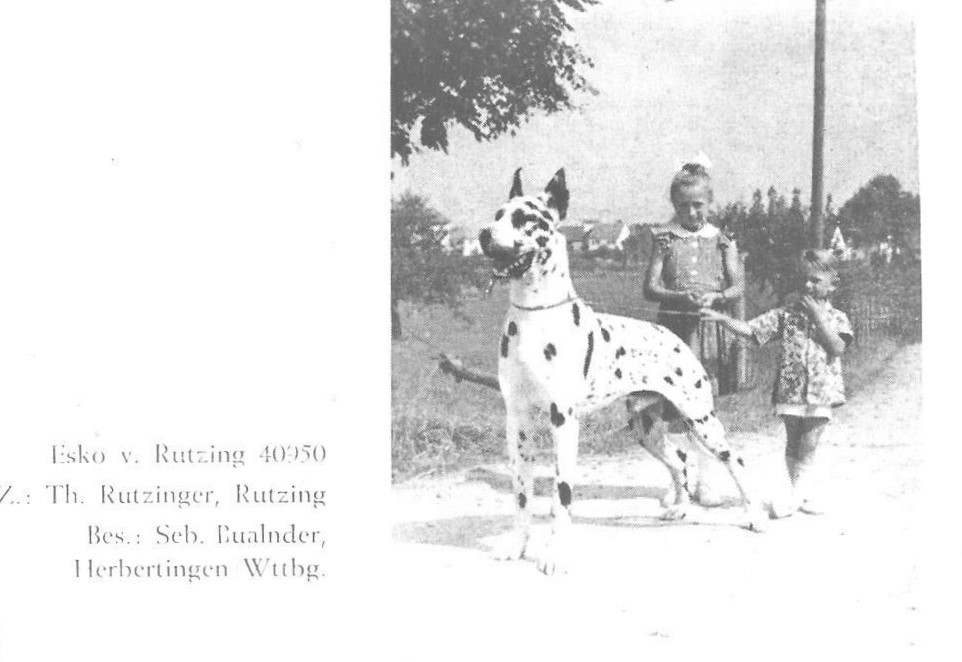 Esko v Rutzing